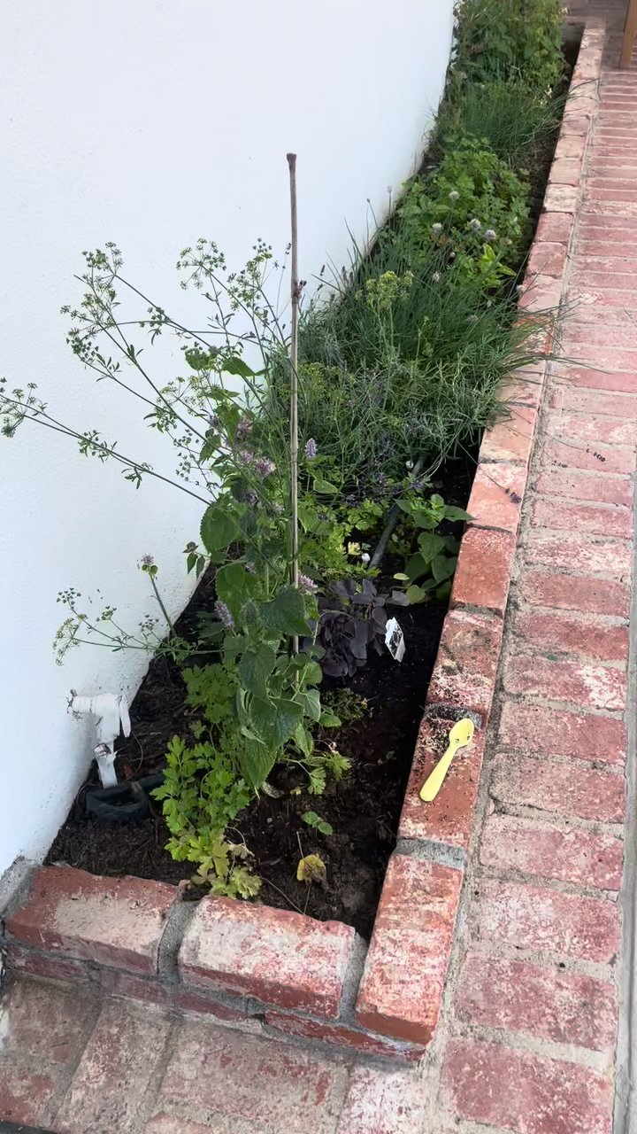 Front yard raised planter beds