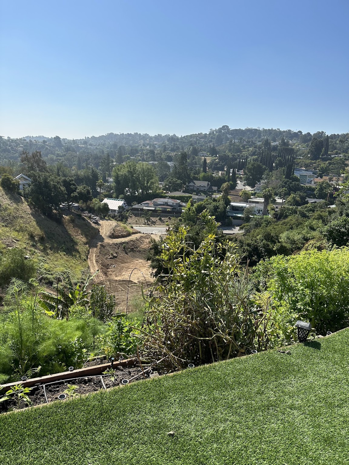Hillside garden with panoramic views